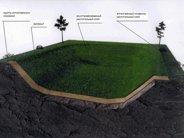 Биоматы на уклонах и откосах